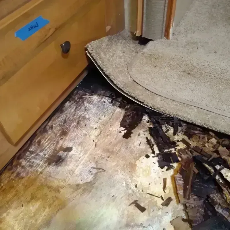 Wood Floor Water Damage in Alpine, TX